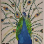 Peacock Wall Art