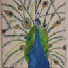 Peacock Wall Art