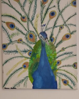 Peacock Wall Art